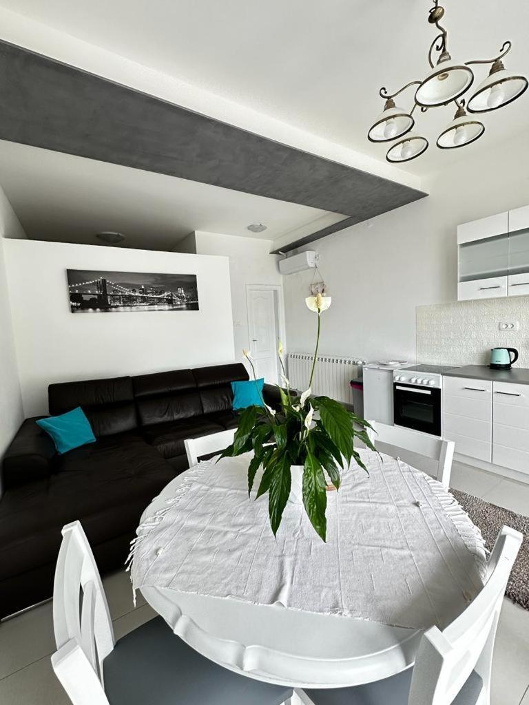 Apartments Boka Pearl Kotor Eksteriør billede
